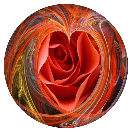 36 Eliptic Rose Round Wall Art